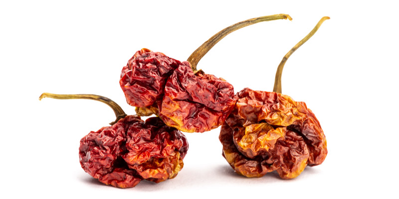 Nejpálivější-chilli-paprička-na-světe---trinidad-moruga-scorpion